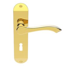 Andros Door Handles On Backplate, Polished Brass (sold in pairs)