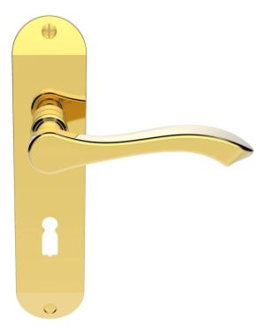 Andros Door Handles On Backplate, Polished Brass (sold in pairs)
