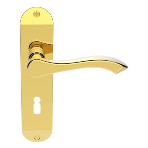 Andros Door Handles On Backplate, Polished Brass (sold in pairs)