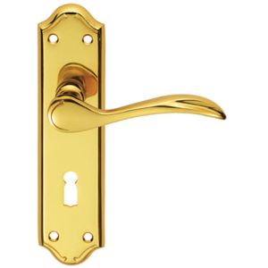 Madrid Door Handles On Backplate, Polished Brass (sold in pairs)