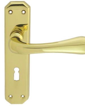 Eden Door Handles On Backplate, Polished Brass (sold in pairs)