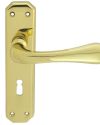Eden Door Handles On Backplate, Polished Brass (sold in pairs)