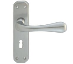 Eden Door Handles On Backplate, Satin Chrome (sold in pairs)