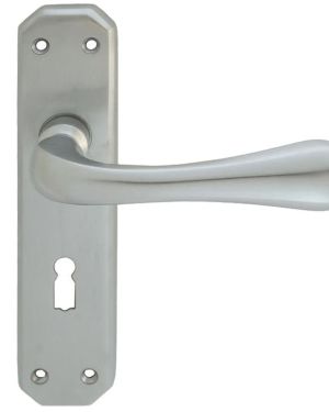 Eden Door Handles On Backplate, Satin Chrome (sold in pairs)
