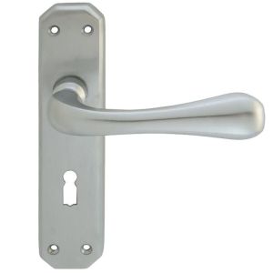 Eden Door Handles On Backplate, Satin Chrome (sold in pairs)
