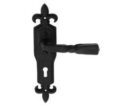 Ludlow Foundries Barley Twist Door Handles On Gothic Backplate, Black Antique (sold in pairs)