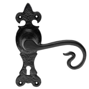 Ludlow Foundries Curly Tail Door Handles On Gothic Backplate, Black Antique (sold in pairs)