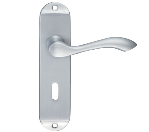 Arundel Door Handles On Backplate