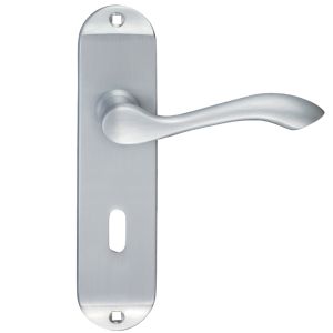 Arundel Door Handles On Backplate
