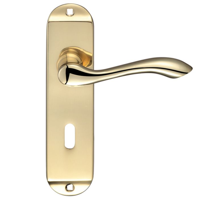Arundel Door Handles On Backplate, Polished Brass (sold in pairs)