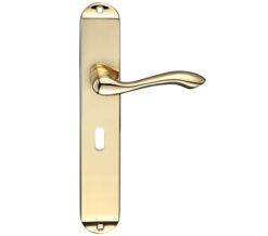 Arundel Door Handles On Long Backplate, Polished Brass  (sold in pairs)