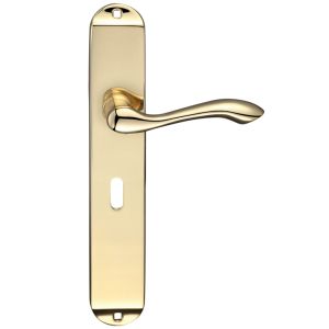 Arundel Door Handles On Long Backplate, Polished Brass  (sold in pairs)