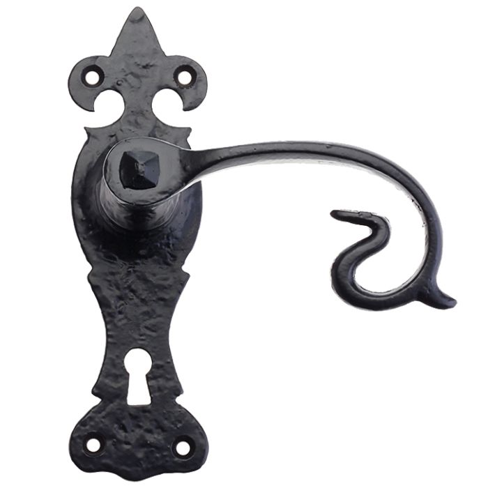 Fleur De Lys Door Handles On Backplate