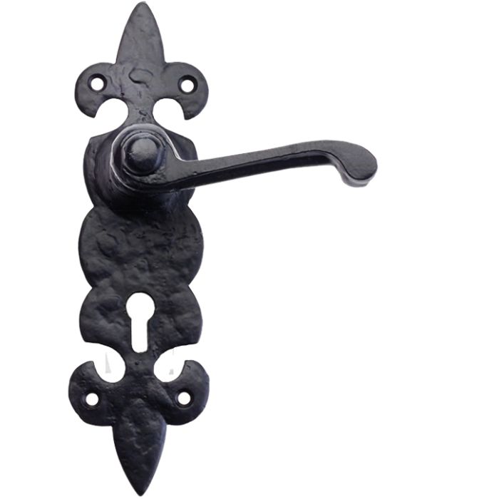 Fleur De Lys Door Handles On Backplate, Black Antique (sold in pairs)