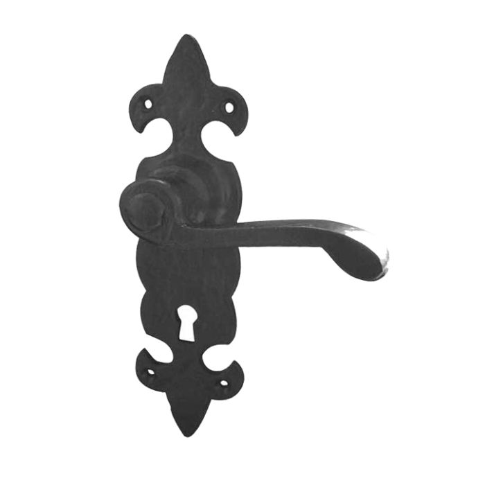 Fleur De Lys Door Handles On Backplate, Black Antique (sold in pairs)
