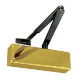 Standard Power Size 2-4 Overhead Door Closer With Black Arm, Polished Brass