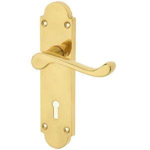 Frelan Epsom Door Handles On Backplate