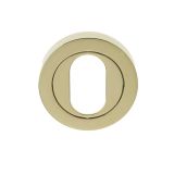 Oval Profile Escutcheon, PVD Stainless Brass
