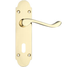 Project Range Oxford Door Handles On Backplate, Electro Brass (sold in pairs)