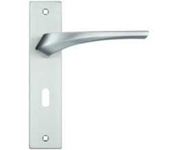 Aries Door Handles On Backplate, Satin Chrome (sold in pairs)