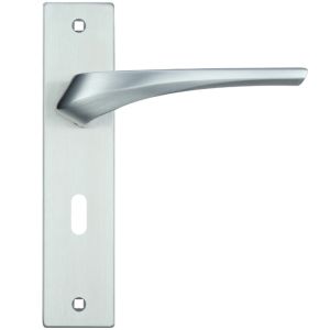 Aries Door Handles On Backplate, Satin Chrome (sold in pairs)