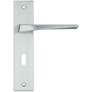 Lyra Door Handles On Backplate, Satin Chrome (sold in pairs)