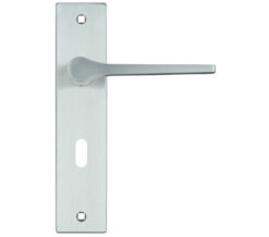 Draco Door Handles On Backplate, Satin Chrome (sold in pairs)