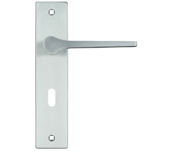 Draco Door Handles On Backplate, Satin Chrome (sold in pairs)