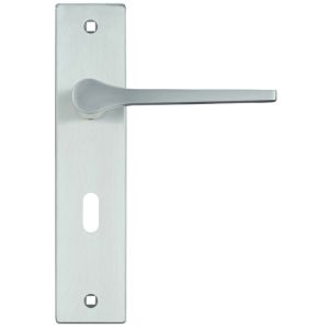 Draco Door Handles On Backplate, Satin Chrome (sold in pairs)
