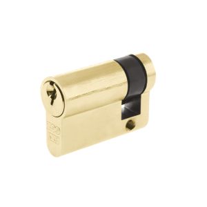 Precision Euro Profile British Standard 5 Pin Single Cylinders (Various Sizes), Polished Brass