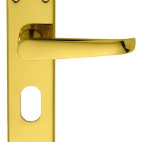 Carlisle Brass M30U Victorian Lever On Backplate – Lock Oval Profile 48.5mm C/C Polished Brass