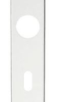 Carlisle Brass PLP9001SAA Lock Plate  Pair (57mm C/C)  Pair