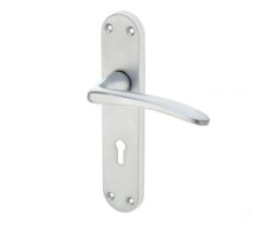 Gull Door Handles On Backplate - Lock (With Keyhole)
