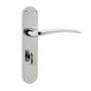Gull Door Handles On Backplate - Bathroom