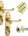 Door Handles on Backplate – Polished Brass