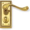 Brass Door Handles on Privacy Plate - Polished Brass