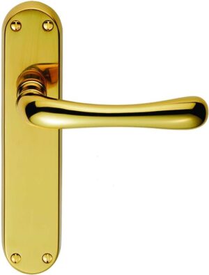 Door Handles On Backplate - Latch - Polished Brass