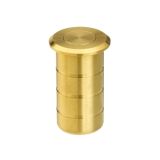 Zoo Hardware ZAS14-PVDSB Dust socket for flush bolt-concrete 20x38mm – Satin Brass Finish