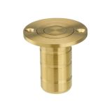 Zoo Hardware ZAS14A-PVDSB Dust socket for flush bolt-to Suit Wood – Satin Brass Finish
