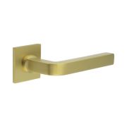 CR-104 Satin Brass Sprung Square Rose Door Handle
