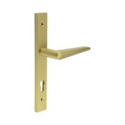 CR-107 Satin Brass Multi Point Backplate Door Handle