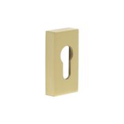CRES Rectangular Satin Brass Euro Escutcheon